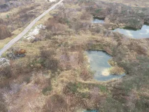 Еще три несанкционированные свалки будут досрочно ликвидированы в Нижегородской области
