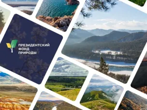 Нижегородцы могут принять участие в первом конкурсе Президентского фонда природы