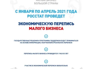 Нижегородстат призывает малый бизнес принять участие в экономической переписи