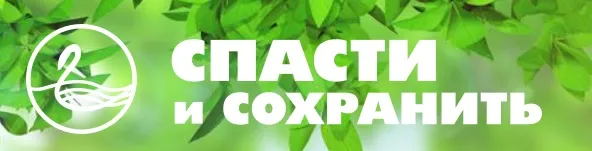 С 22 мая по 22 ноября 2023 года в Ханты-Мансийском автономном округе – Югре будет проходить XX Международная экологическая акция «Спасти и сохранить»  под эгидой ЮНЕСКО