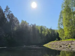 В Нижегородской области будет создан национальный парк «Нижегородское Поволжье» имени Вдадимира Лебедева