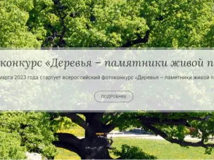Принимаются заявки на всероссийский фотоконкурс «Деревья –памятники живой природы»