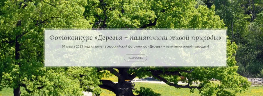 Принимаются заявки на всероссийский фотоконкурс «Деревья –памятники живой природы»