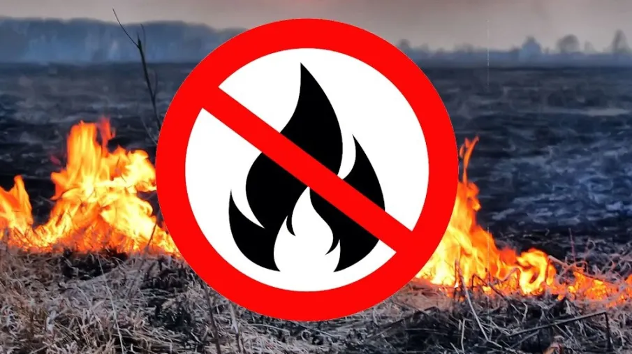 На территории Нижегородской области, согласно постановлению Правительства региона установлен особый противопожарный режим.