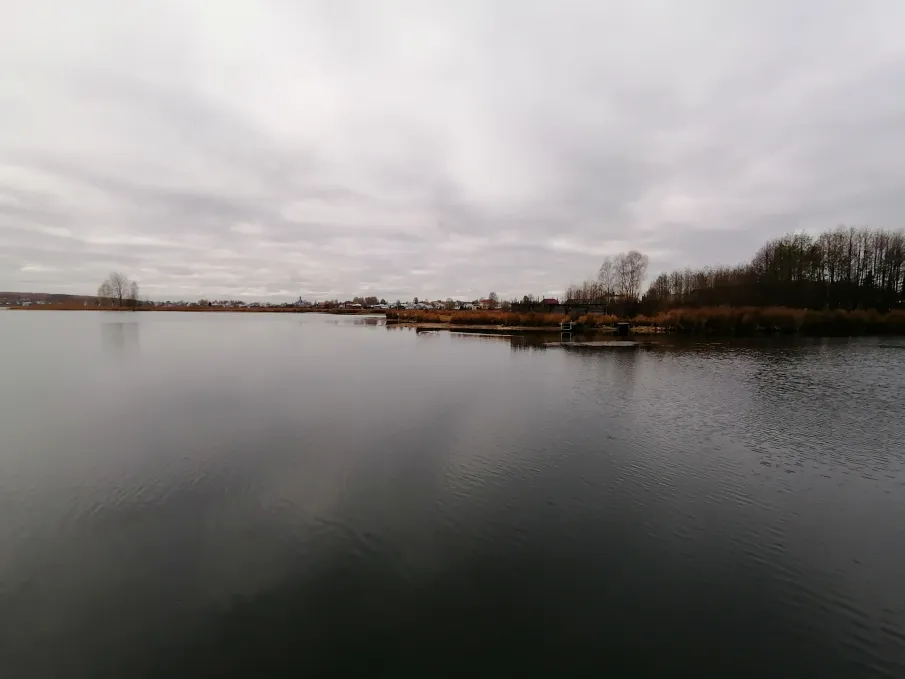 Способ расчистки озера Ворсменское определят после полного обследования памятника природы