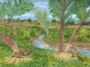 Итоги открытого областного конкурса рисунков "Человек и Экология"