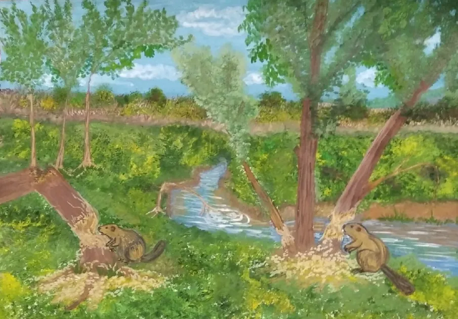 Итоги открытого областного конкурса рисунков "Человек и Экология"