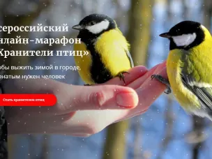 Платформа Ecowiki.ru Движения ЭКА приглашает присоединиться к конкурсу «Хранители птиц»