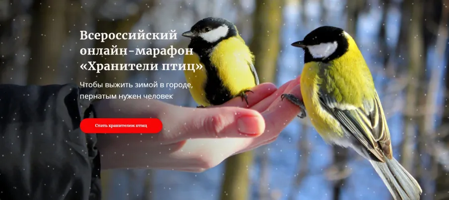 Платформа Ecowiki.ru Движения ЭКА приглашает присоединиться к конкурсу «Хранители птиц»